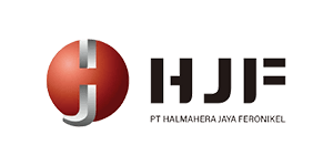 Logo Partner