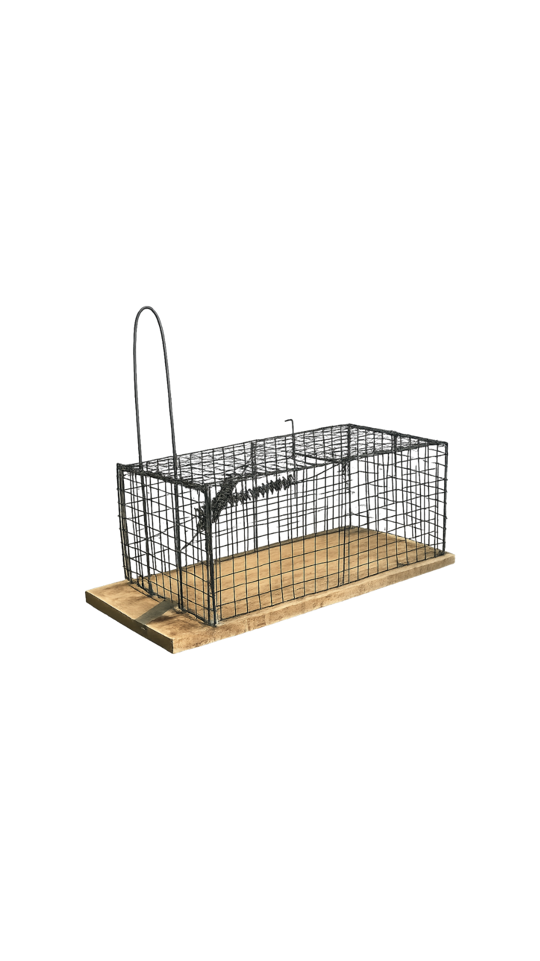Live Trap Mammal