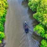 Hutan mangrove dari foto udara drone