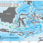 ARLINDO - Arus Lintas Indonesia -Indonesia Throughflow Pathways