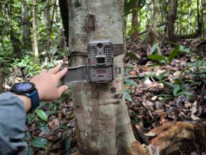 Penggunaan Camera Trap Bushnell untuk Pengamatan Biodiversitas Hutan